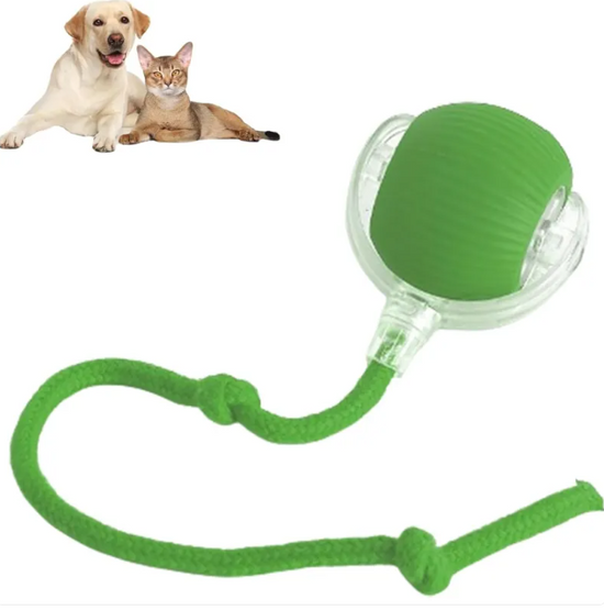 Smart Rolling Pet Ball Brightening Powder