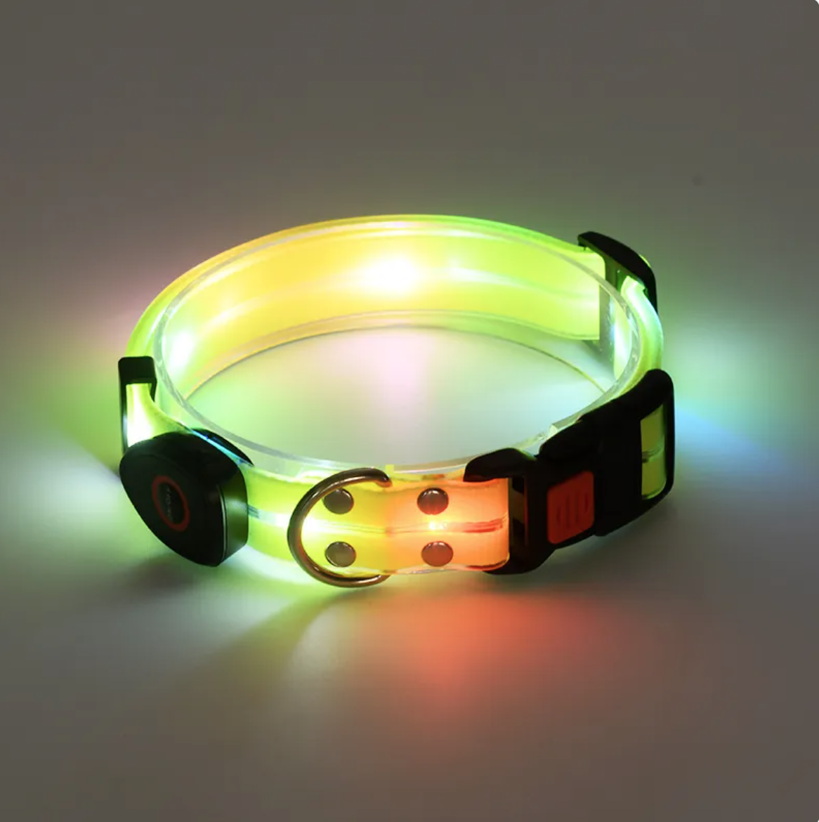Rechargeable LED Dog Collar with Nylon Leash