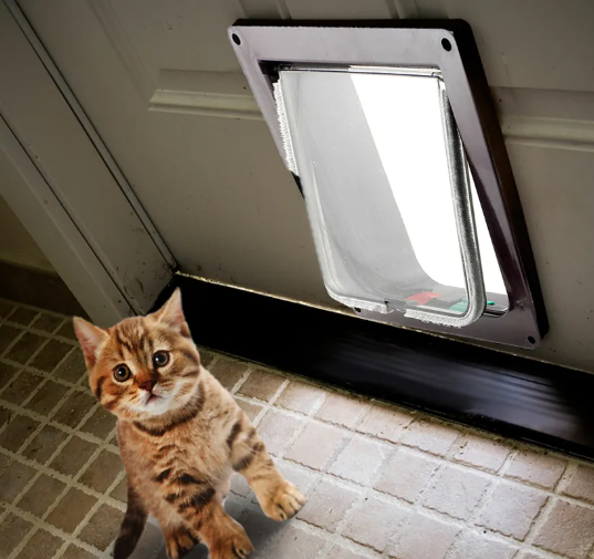 4-Way Secure Door for Cats & Small Dogs