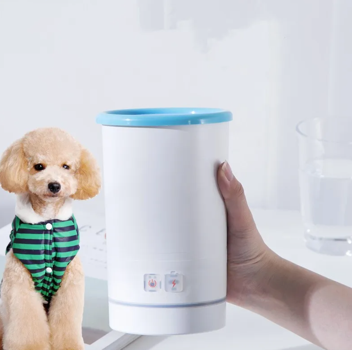 Automatic Paw Washer for Dogs & Cats