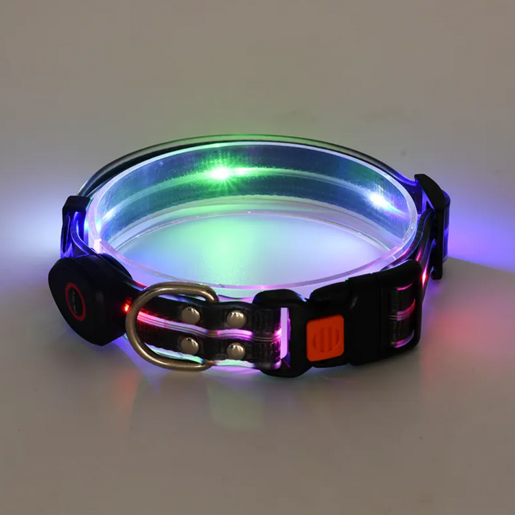 Rechargeable LED Dog Collar with Nylon Leash
