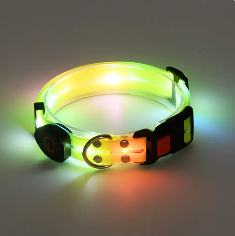 Rechargeable LED Dog Collar with Nylon Leash