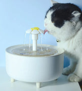 Automatic Water Fountain for Pets