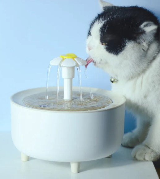 Automatic Water Fountain for Pets