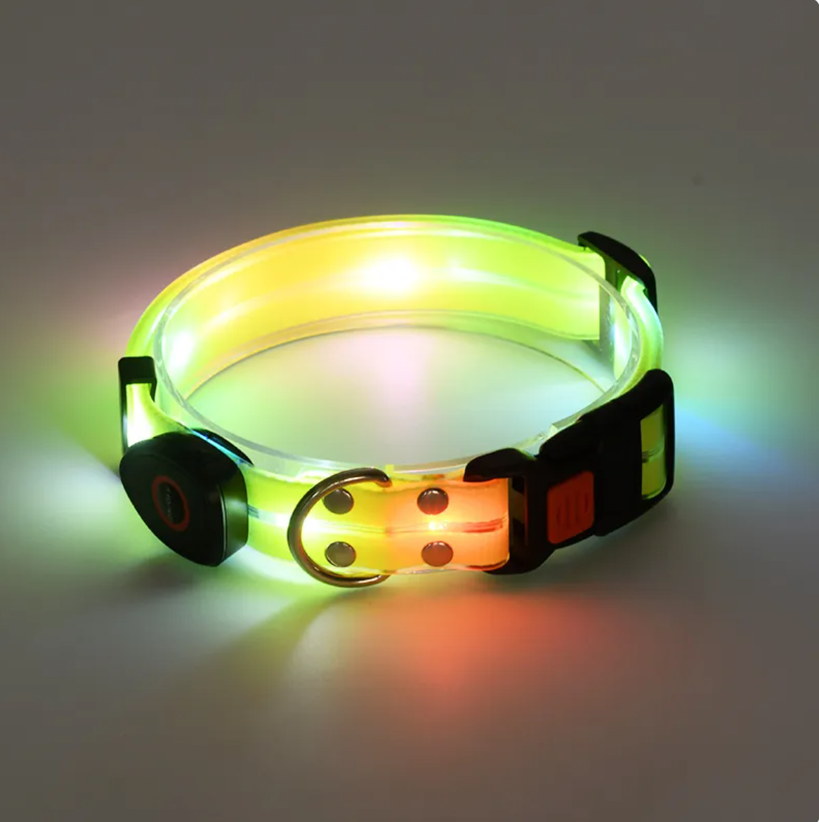 Rechargeable LED Dog Collar with Nylon Leash