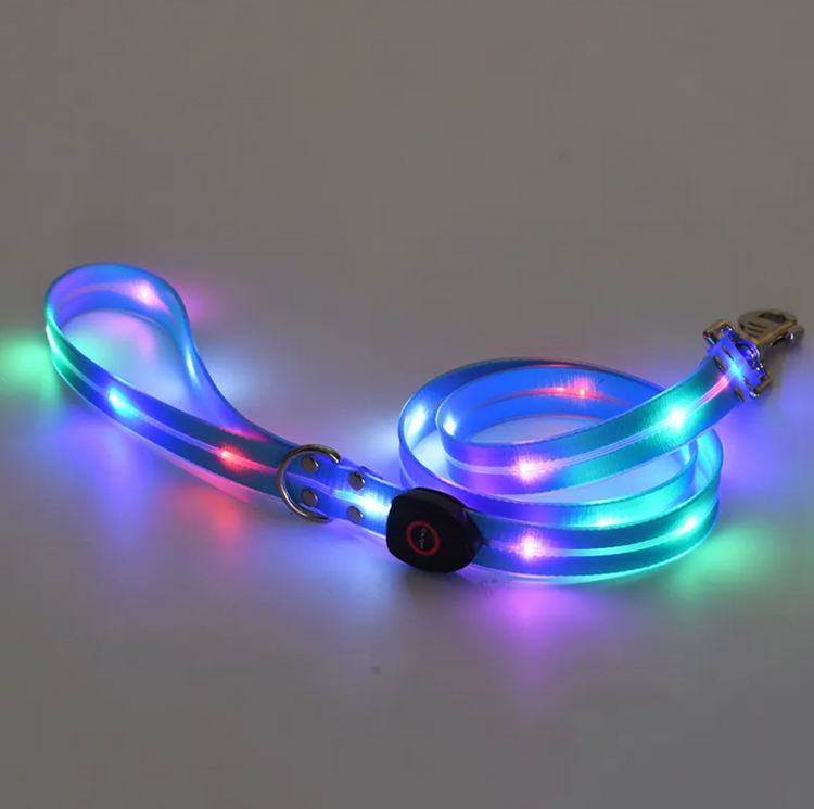 Rechargeable LED Dog Collar with Nylon Leash
