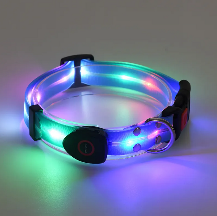 Rechargeable LED Dog Collar with Nylon Leash