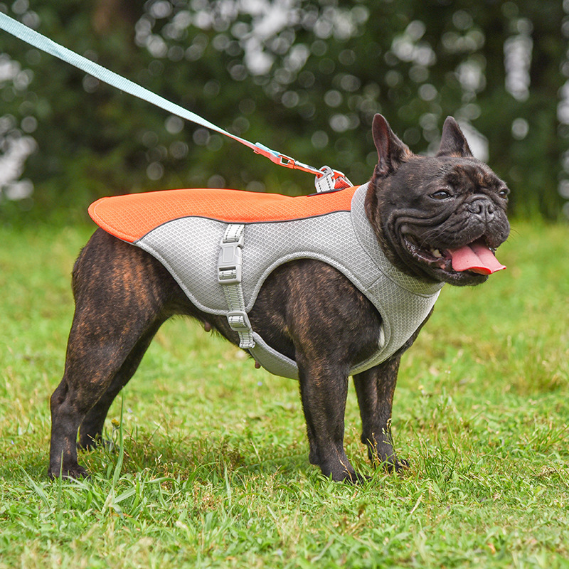Breathable Summer Cooling Vest