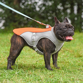 Breathable Summer Cooling Vest