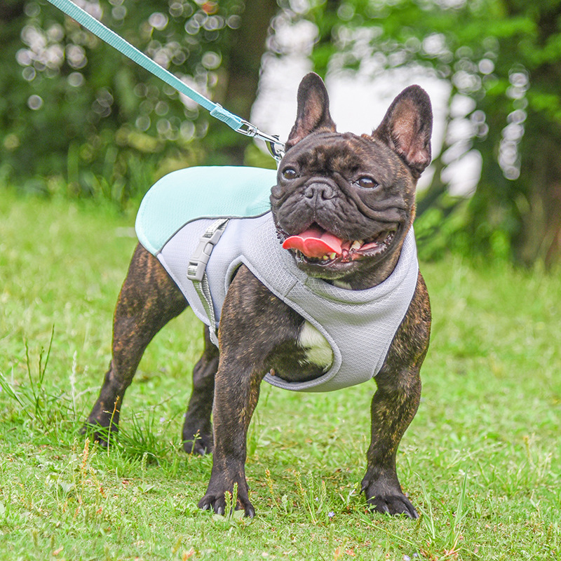 Breathable Summer Cooling Vest