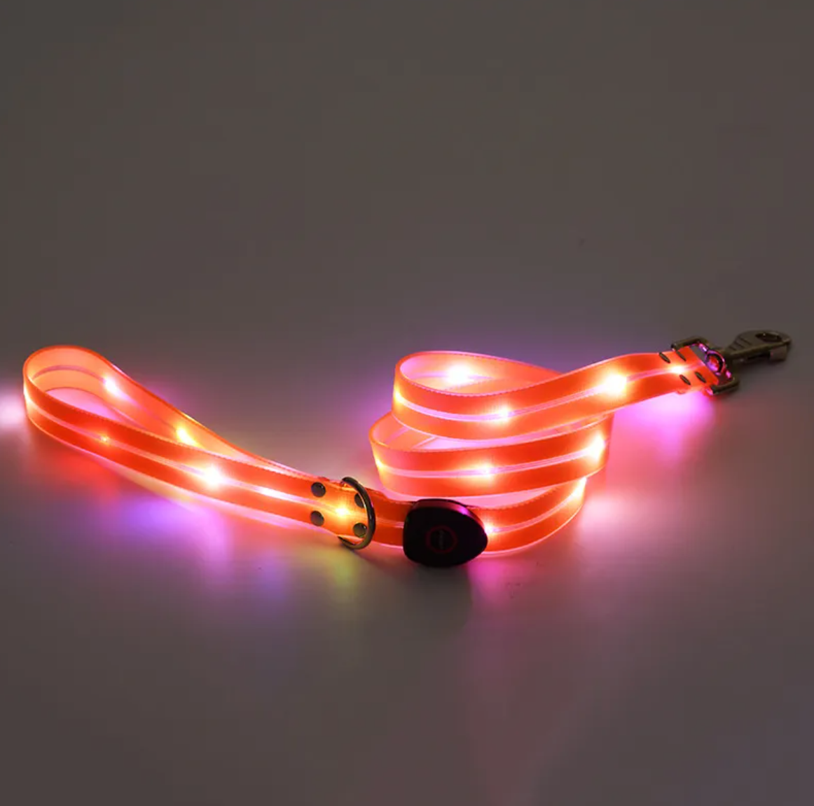Rechargeable LED Dog Collar with Nylon Leash