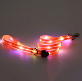 Rechargeable LED Dog Collar with Nylon Leash
