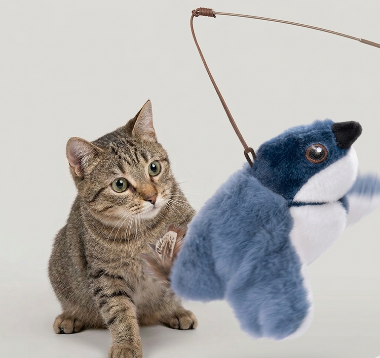 Flapping Bird Cat Toy Powder daily